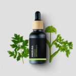 Angelika - 100% přírodní esenciální olej (10ml) - Pěstík