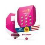 Blue Gelato - feminizovaná semena 5 ks Royal Queen Seeds