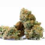 Pure Mountains CBD - Indoor CBD květy Cannapio 5g