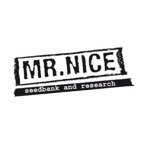 Stones 18ks regulérních semen Mr. Nice